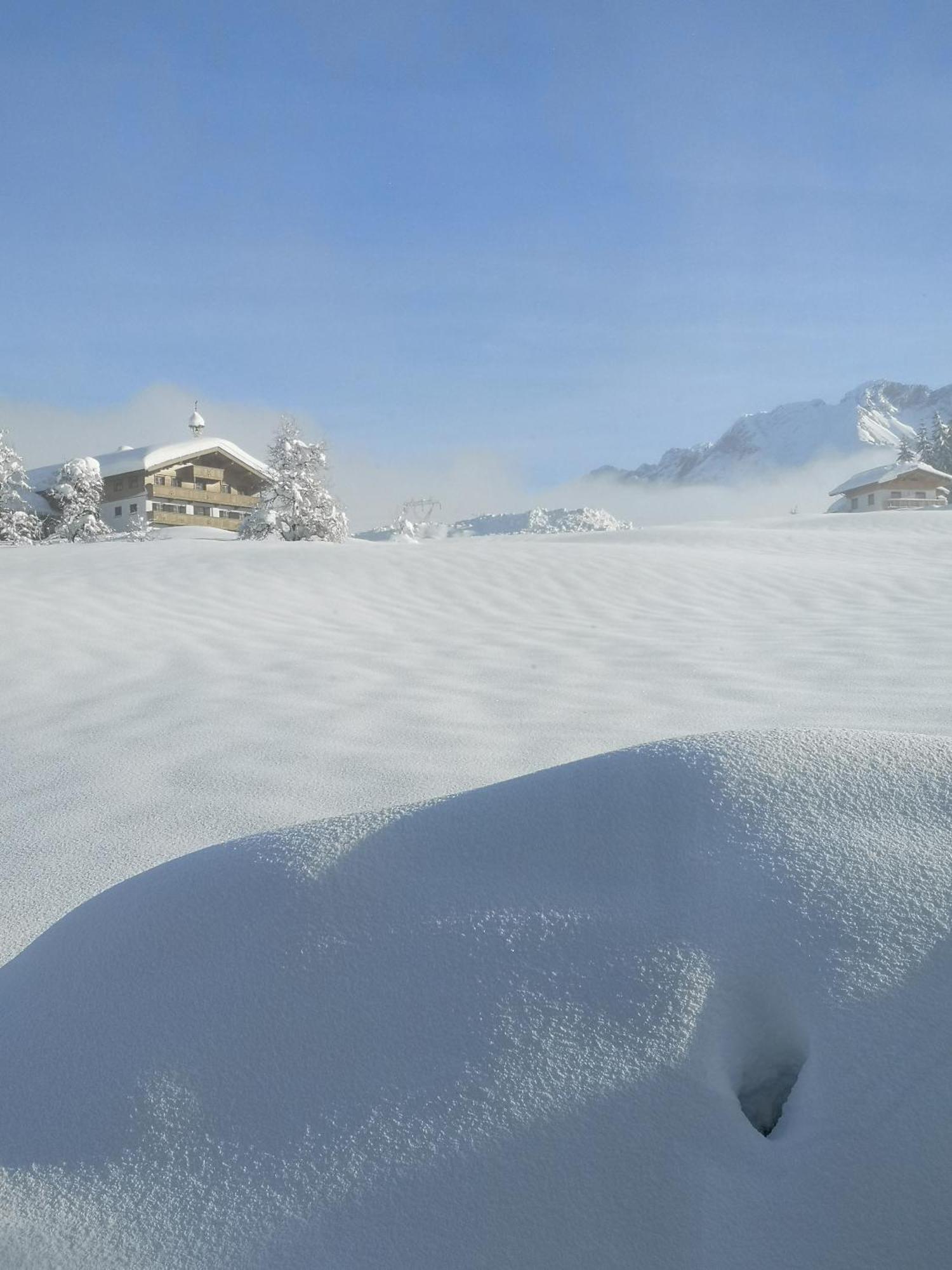 Appartement Seebacher Hochfilzen Εξωτερικό φωτογραφία