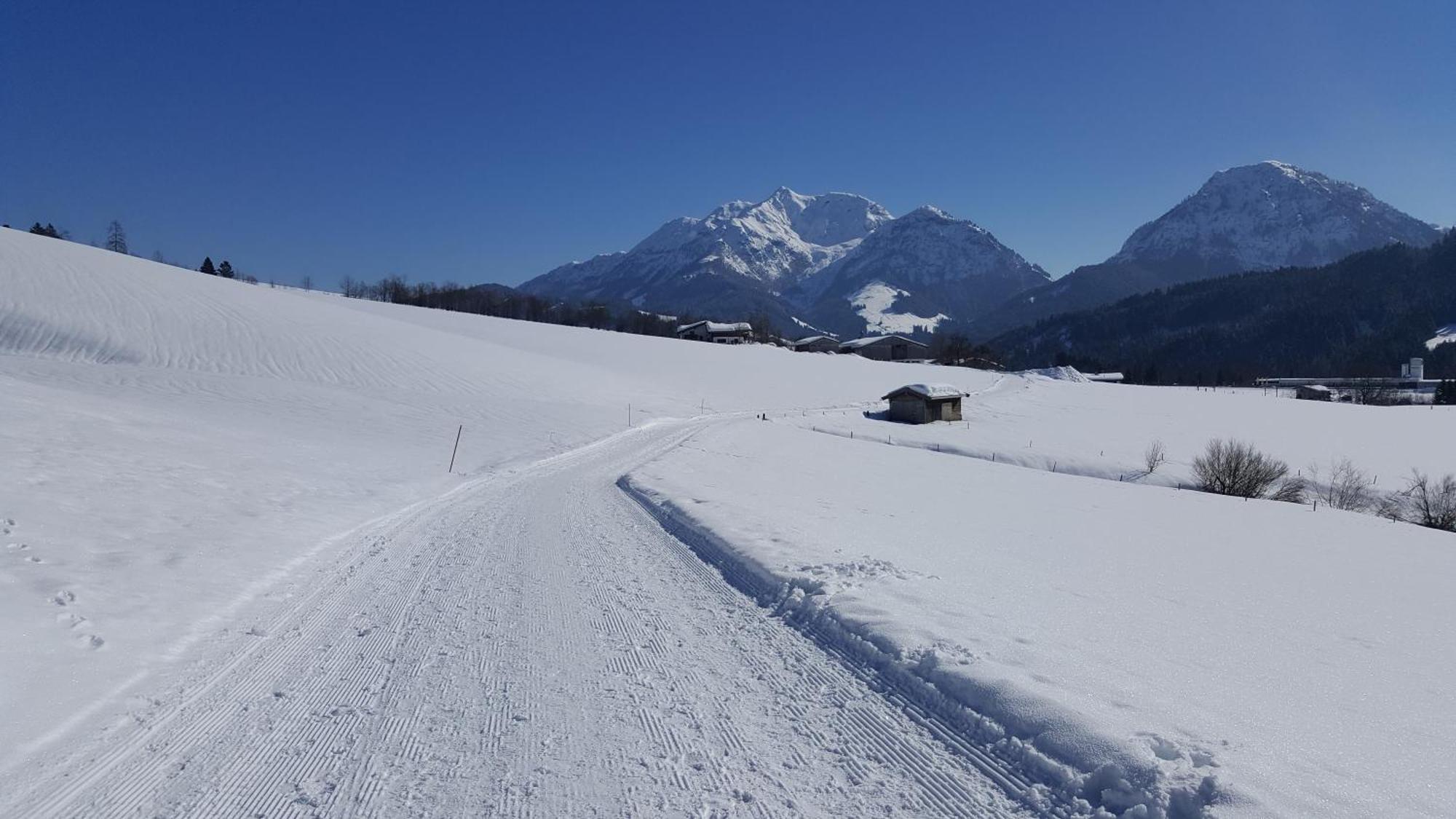 Appartement Seebacher Hochfilzen Εξωτερικό φωτογραφία