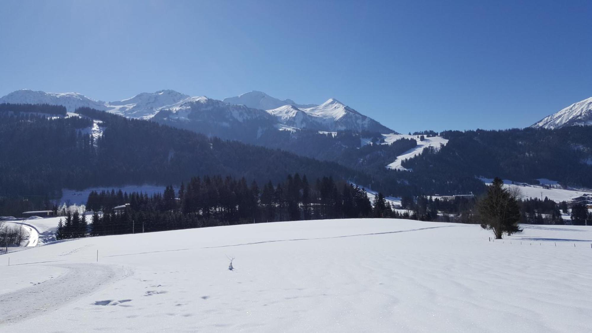 Appartement Seebacher Hochfilzen Εξωτερικό φωτογραφία