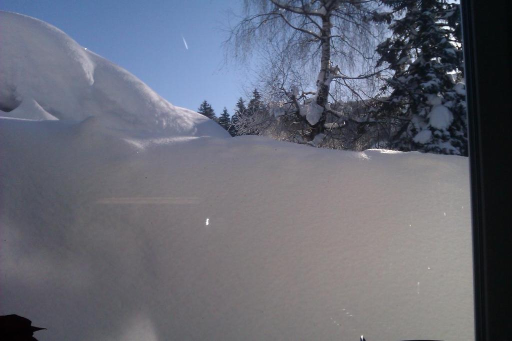 Appartement Seebacher Hochfilzen Εξωτερικό φωτογραφία