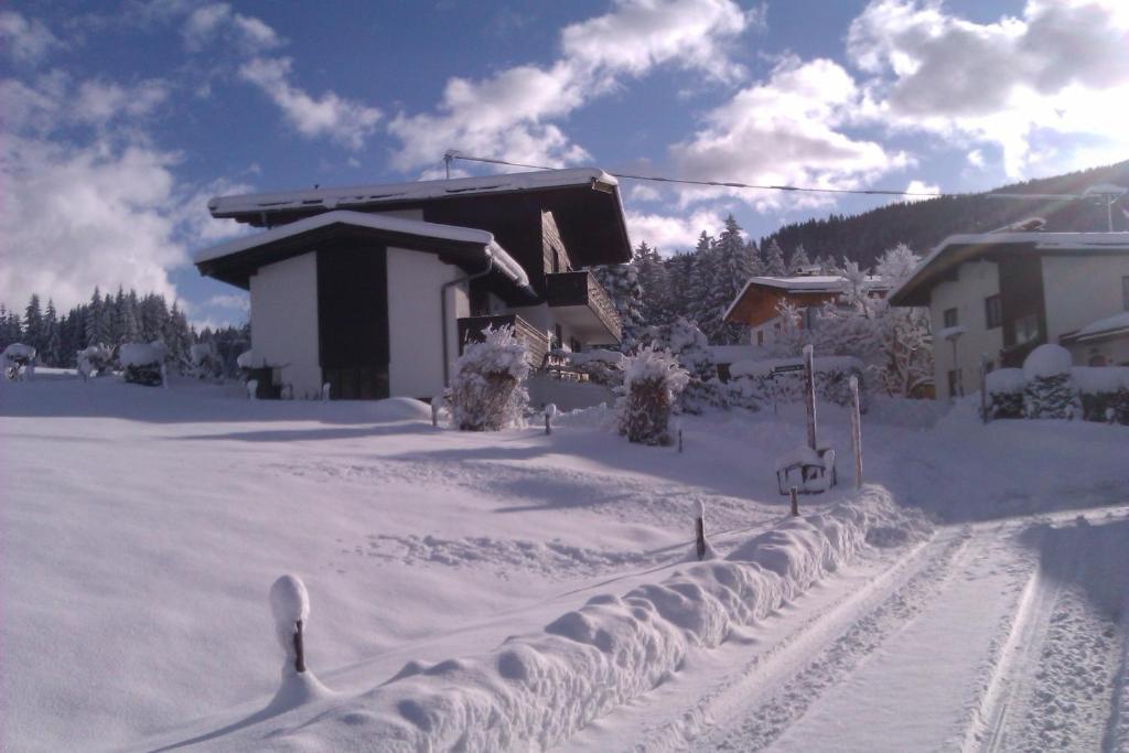 Appartement Seebacher Hochfilzen Εξωτερικό φωτογραφία