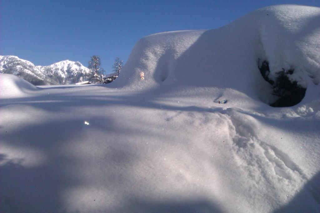 Appartement Seebacher Hochfilzen Εξωτερικό φωτογραφία