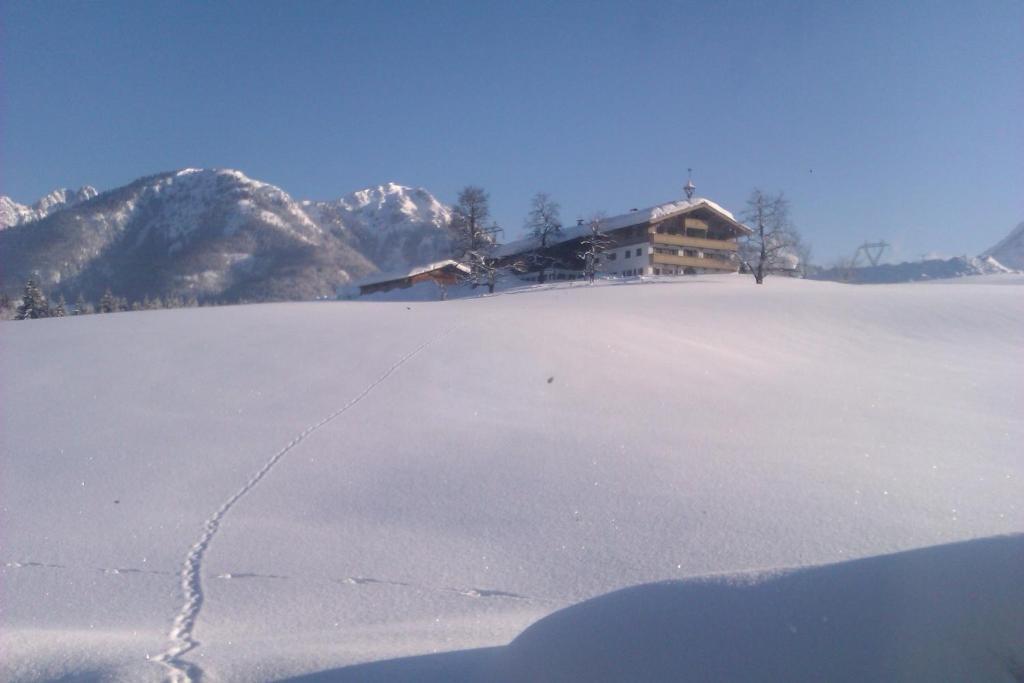 Appartement Seebacher Hochfilzen Εξωτερικό φωτογραφία